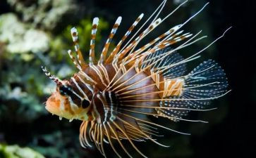 生物教师工作总结个人总结最新7篇