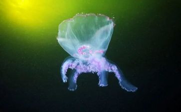 生物教师个人总结模板7篇