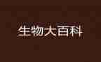 生物教师的工作计划5篇