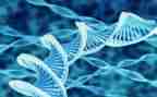 生物教师的工作计划模板6篇
