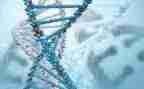 生物高二下学期工作计划7篇