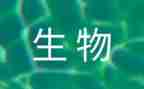 生物教师个人考核总结6篇