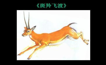 斑羚飞渡的500字读后感6篇