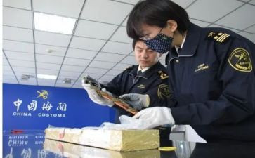 报关工作年终总结6篇
