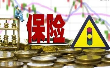 保险公司半年终总结优质6篇