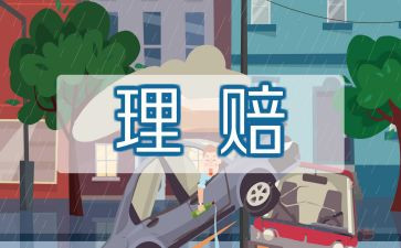 保险公司财务年终总结8篇