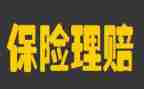 保险公司半年度工作总结5篇