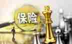 保险业务年终总结5篇