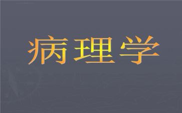 2024病理科工作总结推荐6篇