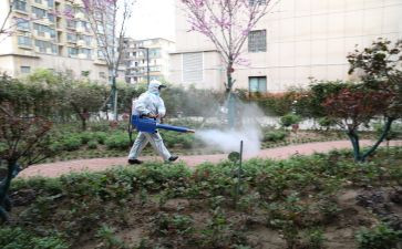 社区病媒防治工作计划5篇