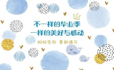 毕设系统工作总结5篇
