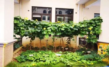 菜百重阳节活动方案5篇