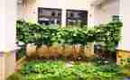 菜百重阳节活动方案5篇