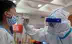 县核酸采样工作总结8篇