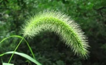 写草船借箭读后感7篇