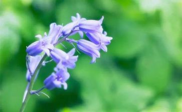 稻草读后感1000字5篇