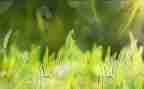 藏草青春的观后感两百字6篇