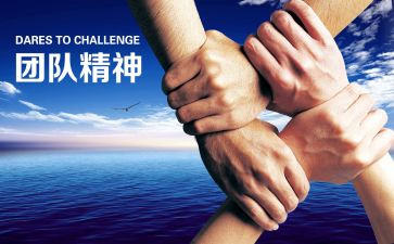 策划的活动总结8篇
