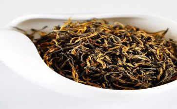 黑茶学习心得体会范文通用5篇