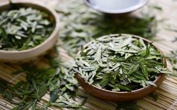 茶心得体会1500精选7篇