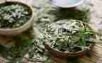 茶心得体会1500精选7篇