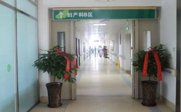 资产科个人年终总结8篇