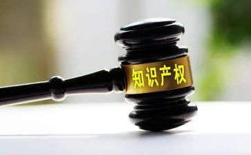局知识产权工作总结7篇