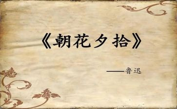朝花夕拾读后感500精选5篇