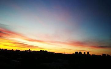 朝夕拾花读后感五百字5篇