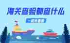 2024入托查验接种工作总结6篇