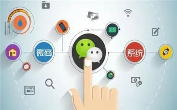 程序员个人试用期工作总结5篇