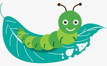 小毛虫教案和反思5篇