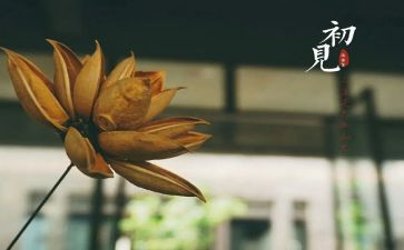 初见老师的作文7篇