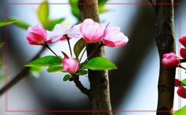 《青春之歌》作文8篇