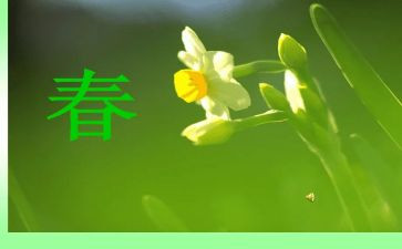 有青春里的作文优质6篇