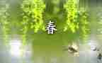 春节元宵活动方案7篇