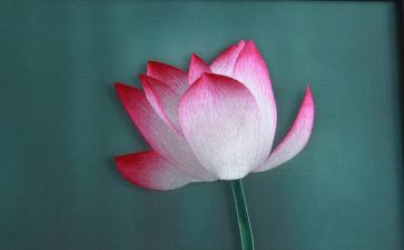 学刺绣的作文6篇