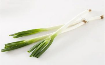 关于葱的健康教案最新5篇