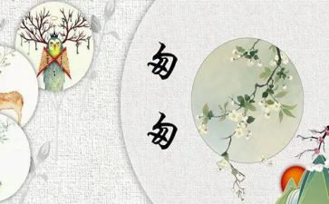 学匆匆读后感通用8篇