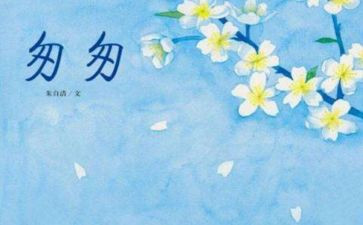 匆匆的读后感800字6篇