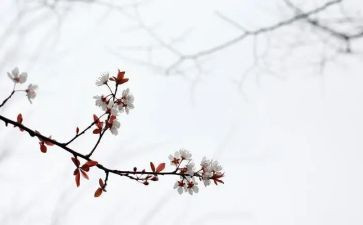 写匆匆的读后感模板8篇