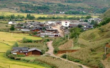 2023年农村干部培训心得7篇