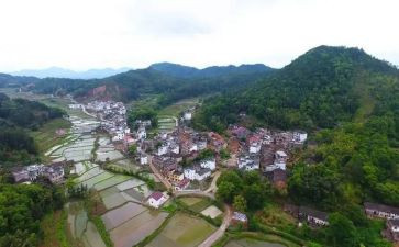 区农村工作报告5篇