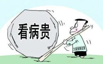 大病低保申请书精选6篇