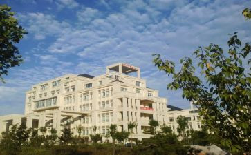大二学生学年自我鉴定优质8篇