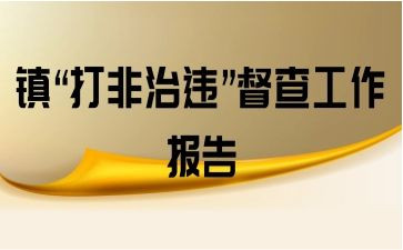 烟花爆竹打非专项行动工作总结6篇