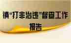 烟花爆竹打非专项行动工作总结6篇