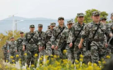 带队实习教师总结通用5篇
