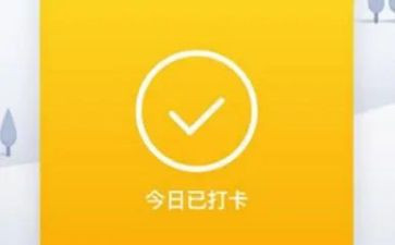 打卡心得体会5篇