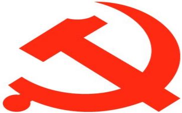 2022党代会个人心得体会8篇